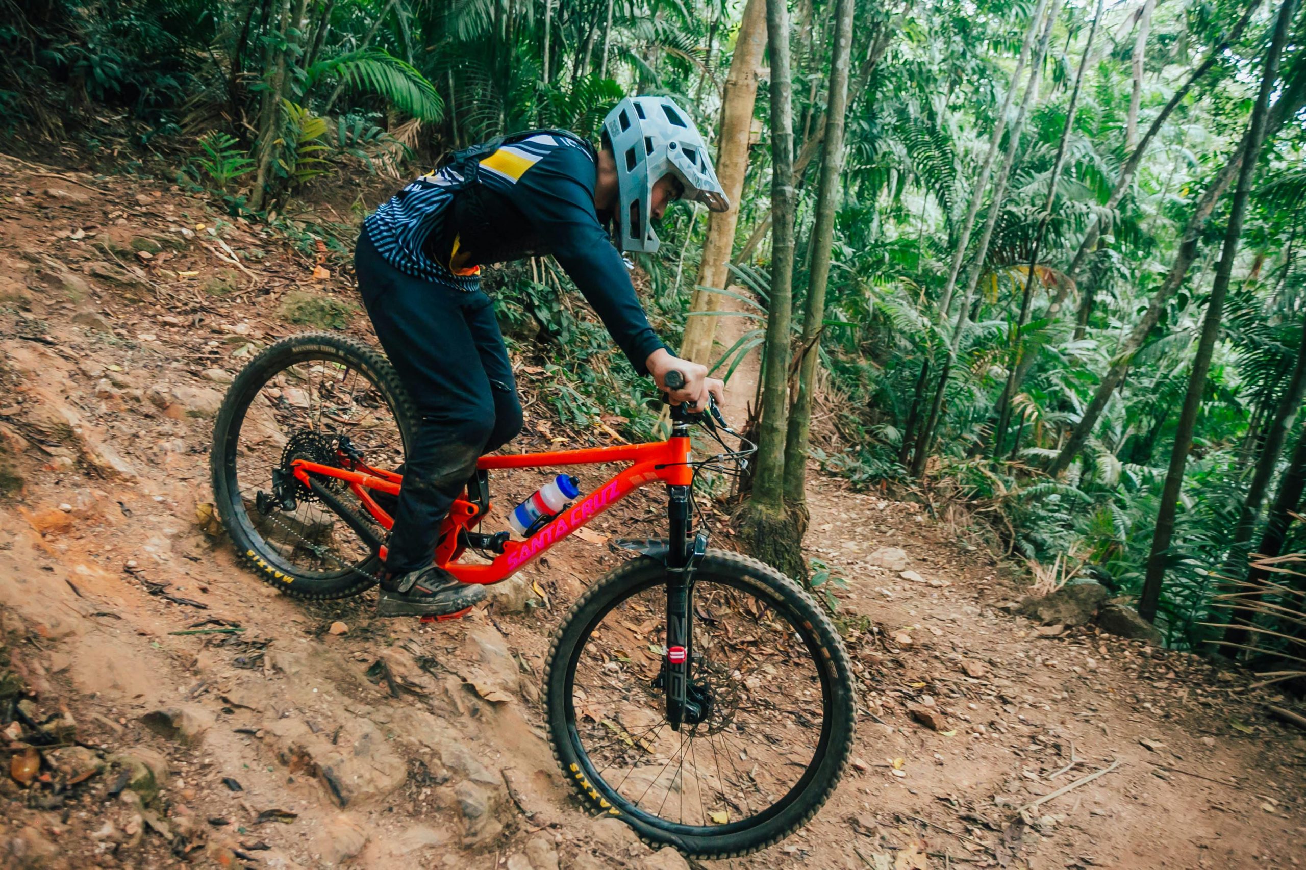 A mountain biker navigates a challenging forest trail with skill and speed.